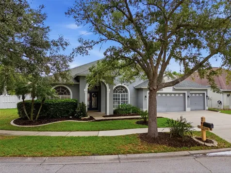 19348 Wind Dancer Street Lutz FL 33558