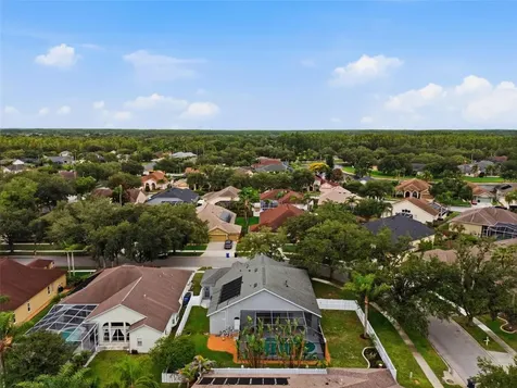19348 Wind Dancer Street Lutz FL 33558