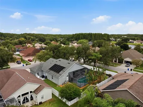19348 Wind Dancer Street Lutz FL 33558