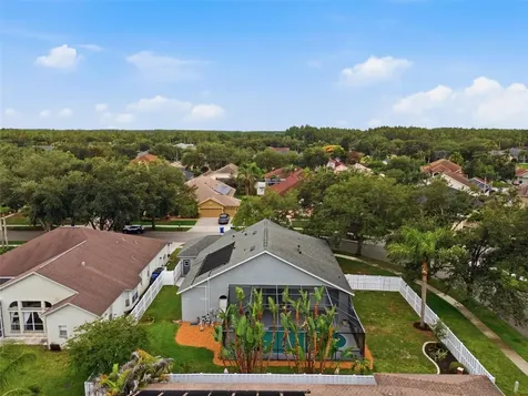 19348 Wind Dancer Street Lutz FL 33558
