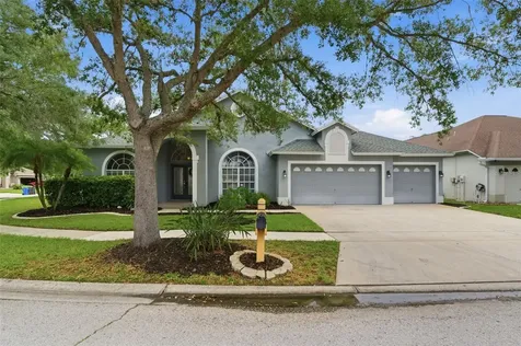 19348 Wind Dancer Street Lutz FL 33558