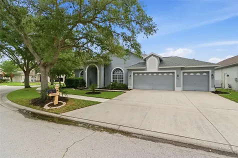 19348 Wind Dancer Street Lutz FL 33558