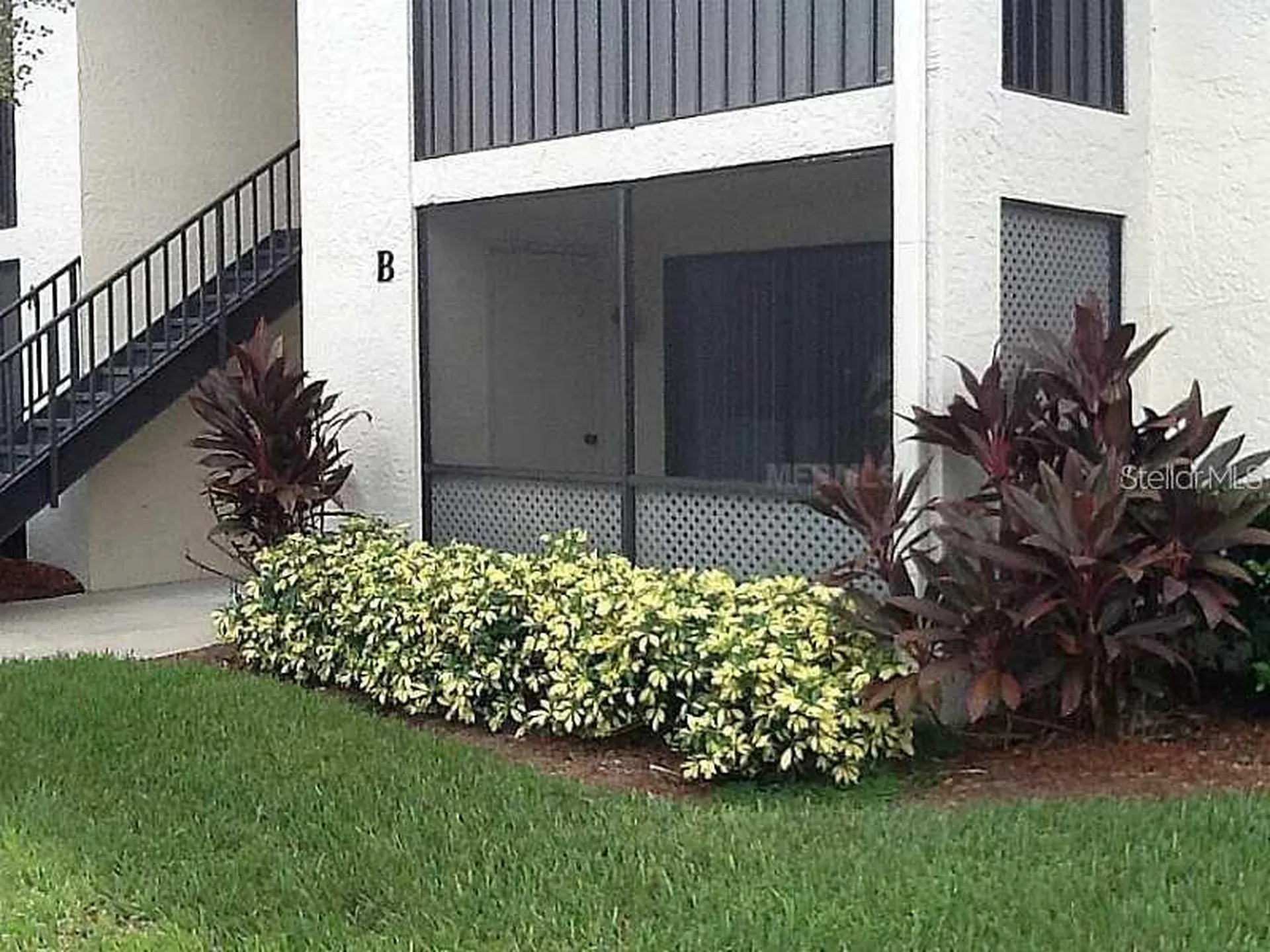 3380 Crystal Court E Palm Harbor FL 34685