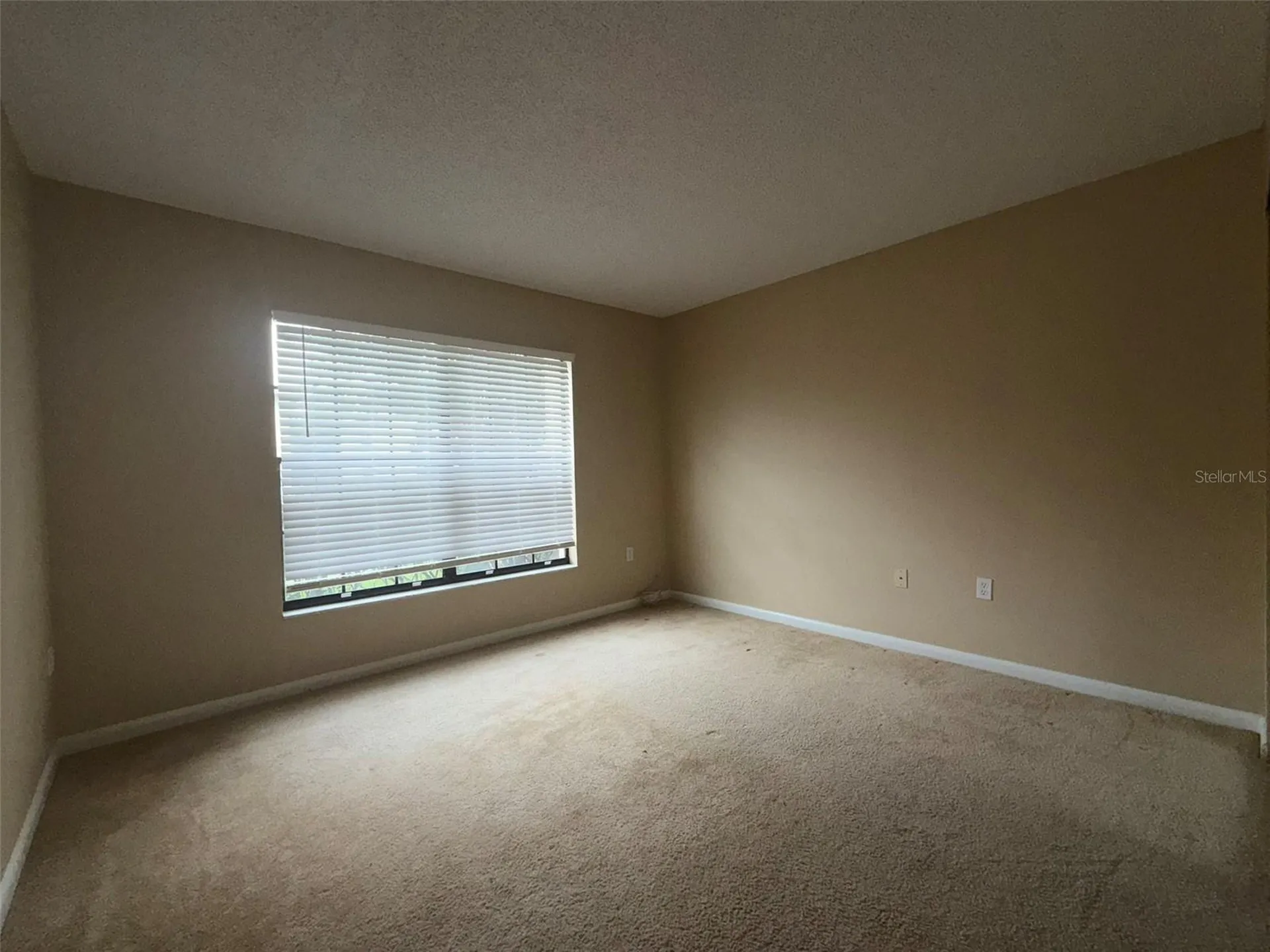 3380 Crystal Court E Palm Harbor FL 34685