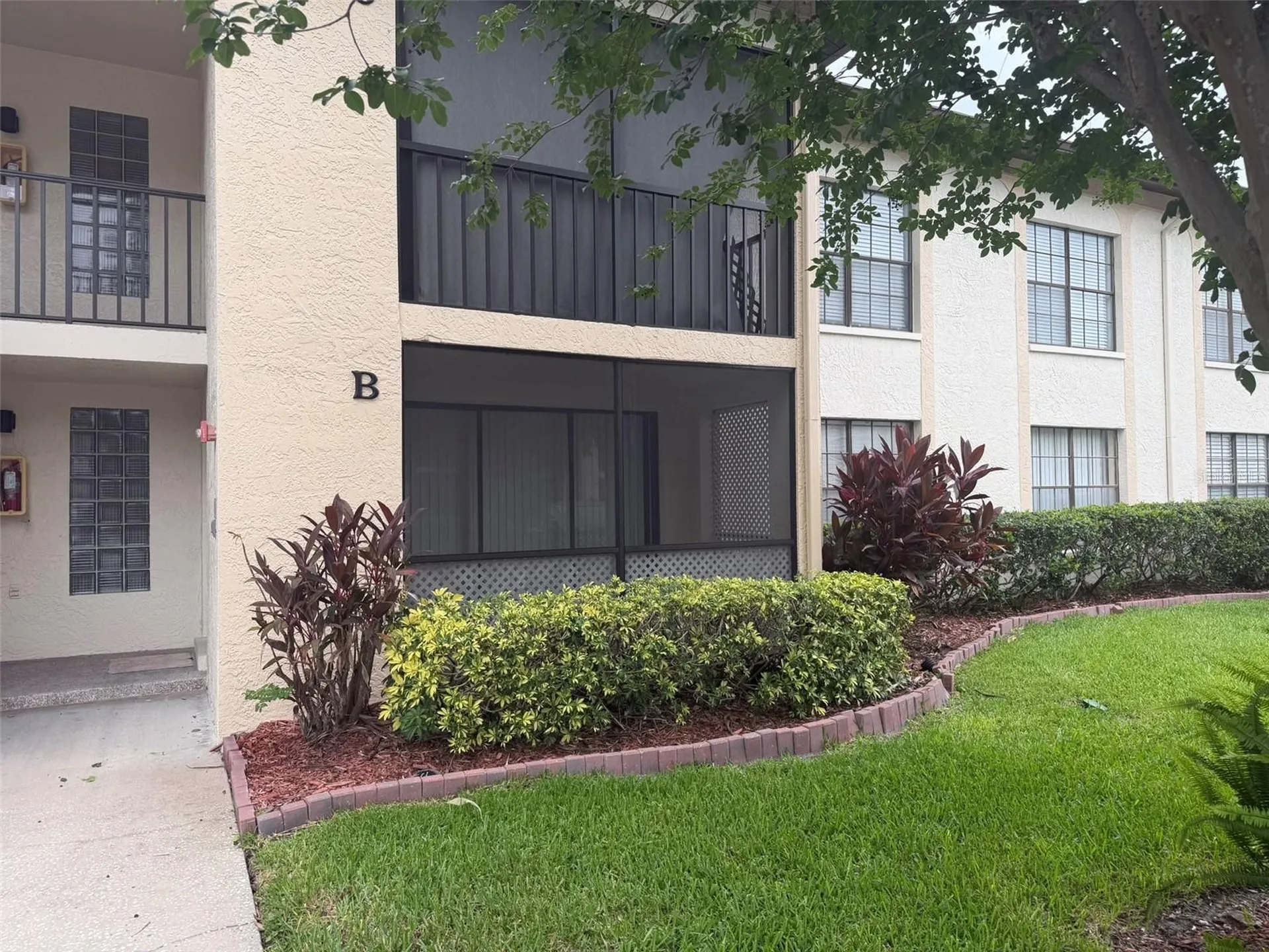 3380 Crystal Court E Palm Harbor FL 34685