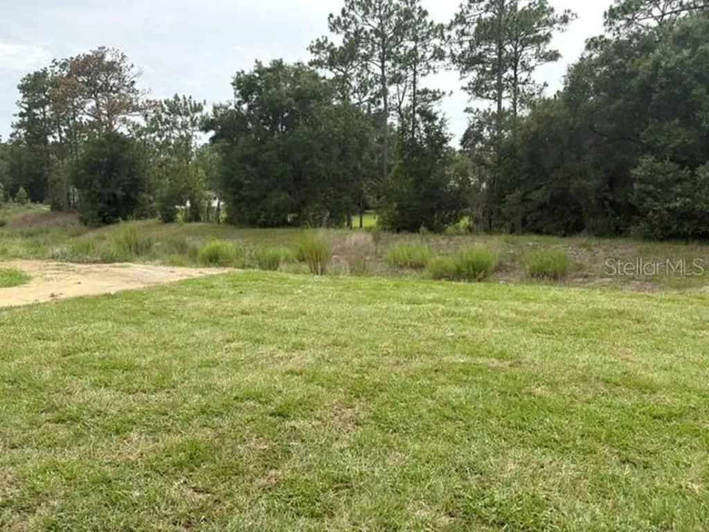 7744 SW 180th Circle Dunnellon FL 34432