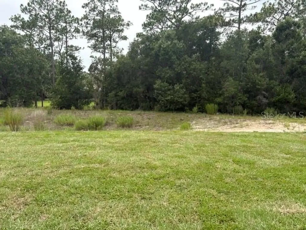 7744 SW 180th Circle Dunnellon FL 34432