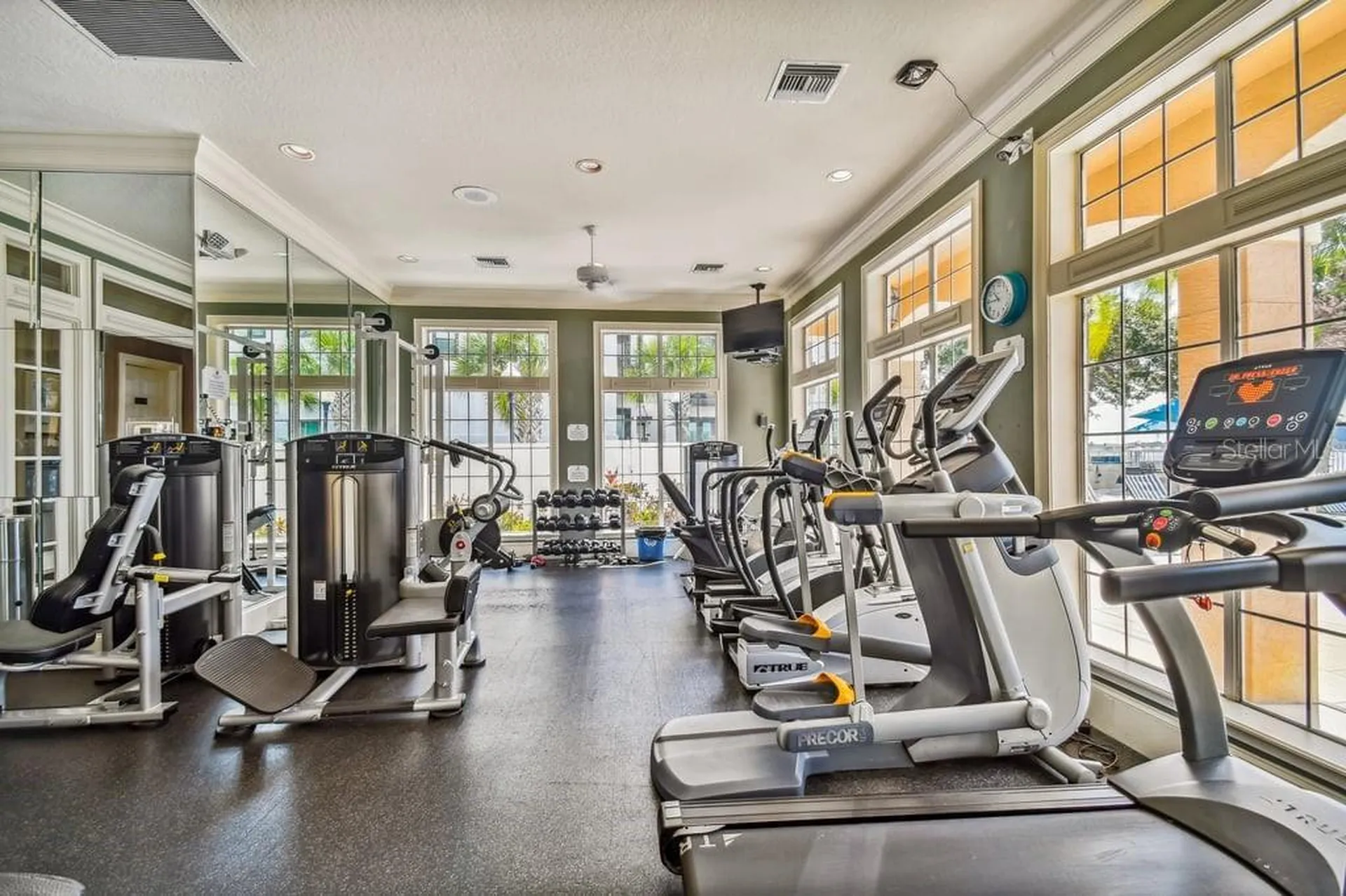 4304 Bay Club Circle Tampa FL 33607