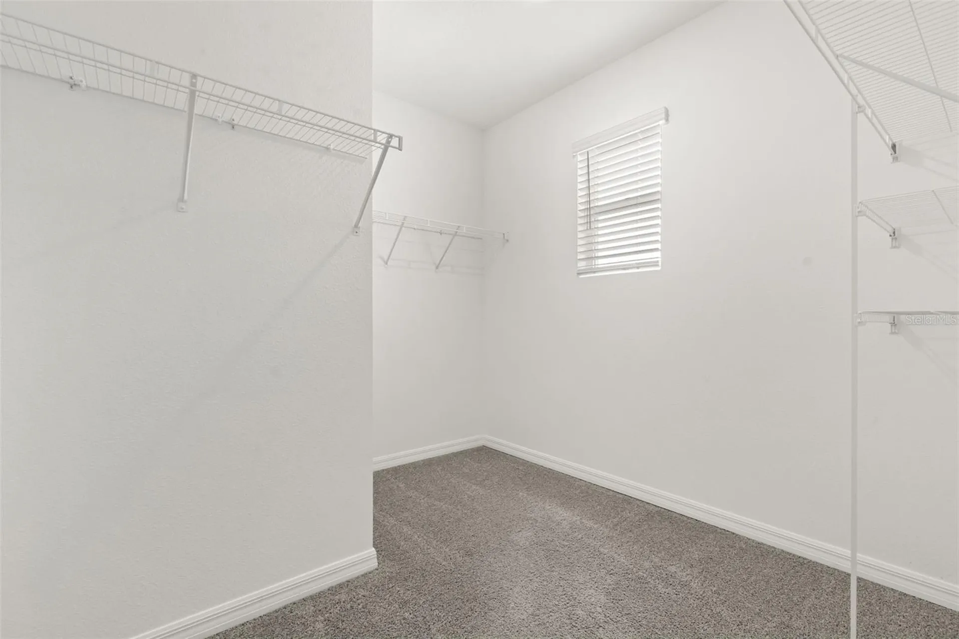 33301 Darley Dale Trail Wesley Chapel FL 33545
