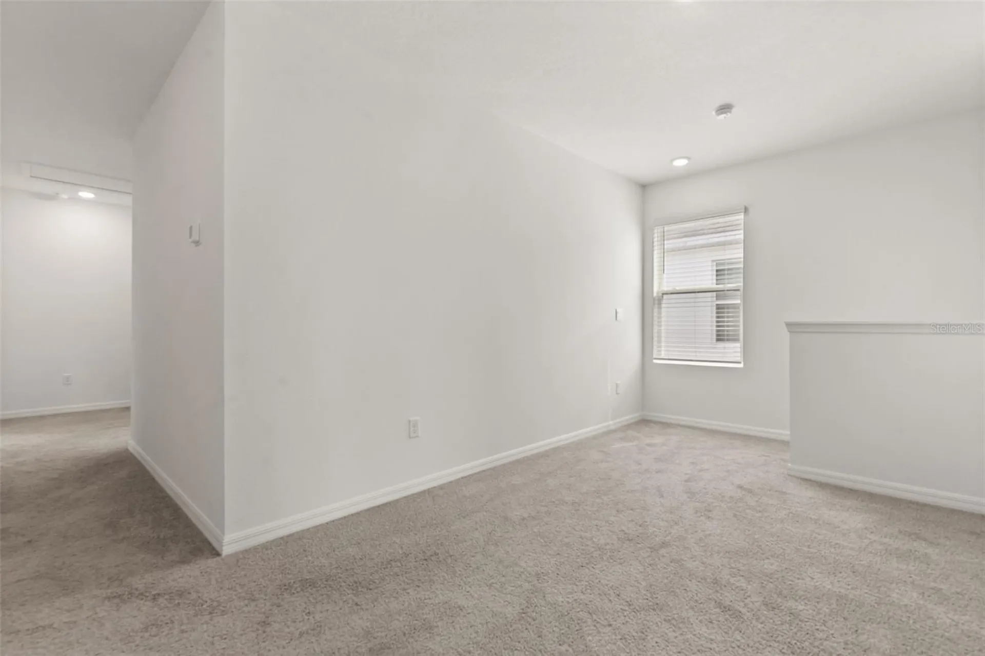 33301 Darley Dale Trail Wesley Chapel FL 33545