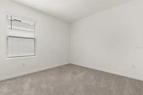 33301 Darley Dale Trail Wesley Chapel FL 33545