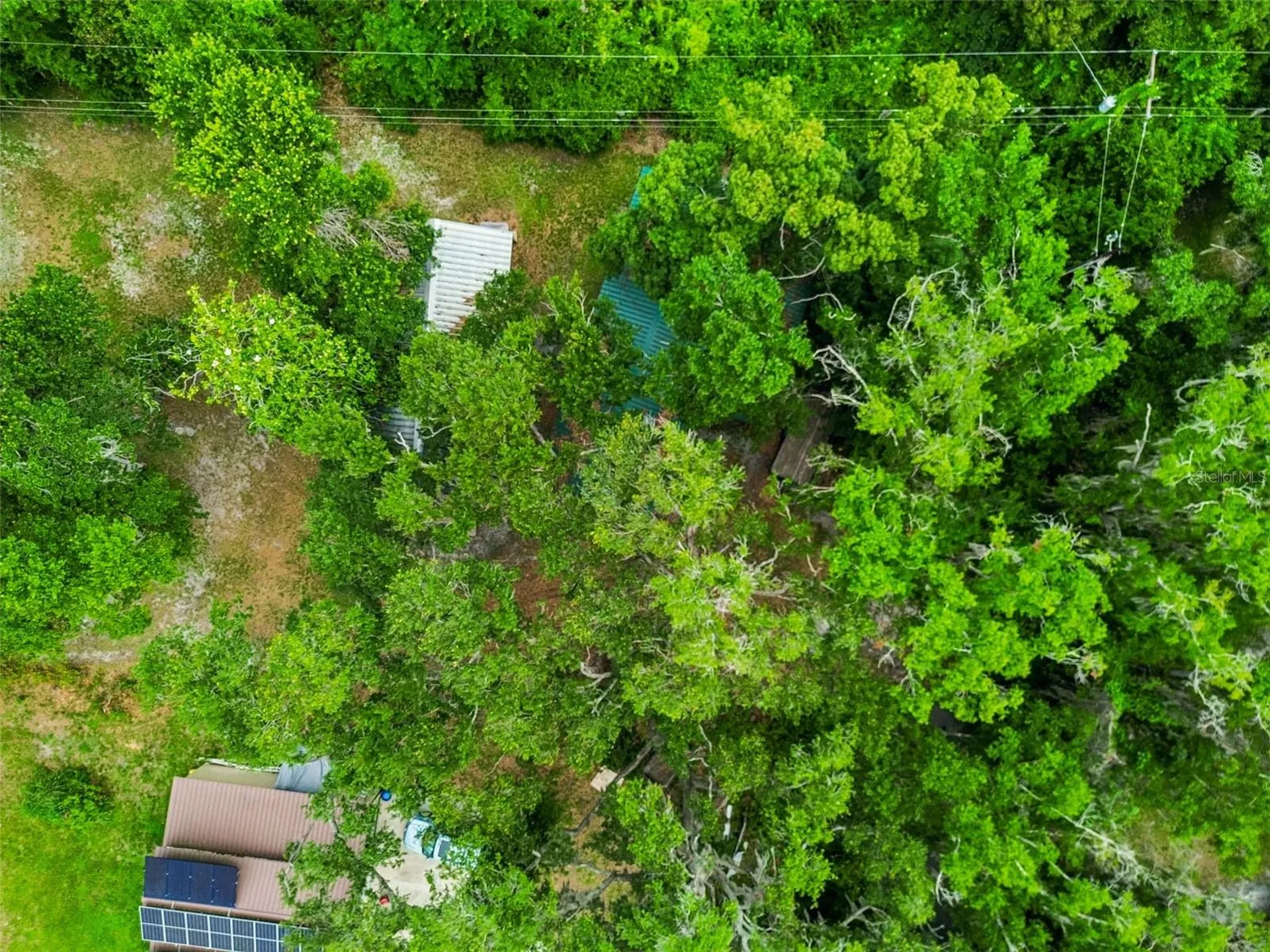 Crescent Lane Lutz FL 33548