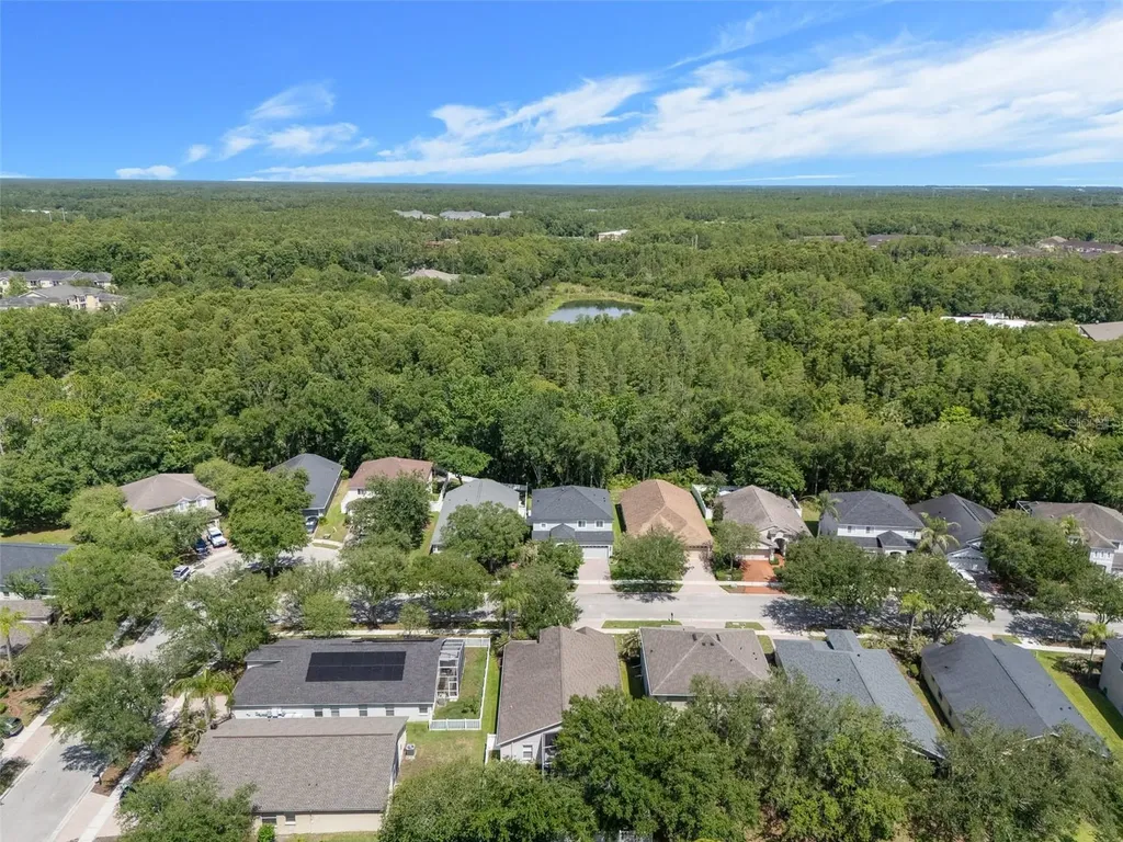 16230 Nottingham Parkway Tampa FL 33647