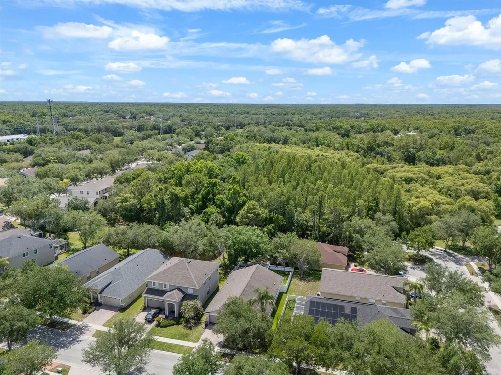 16230 Nottingham Parkway Tampa FL 33647