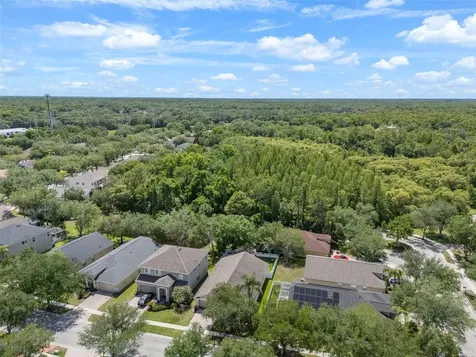 16230 Nottingham Parkway Tampa FL 33647