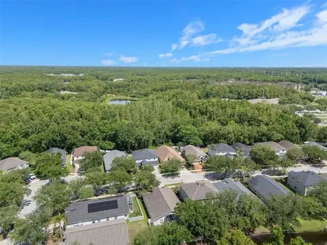 16230 Nottingham Parkway Tampa FL 33647