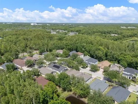 16230 Nottingham Parkway Tampa FL 33647