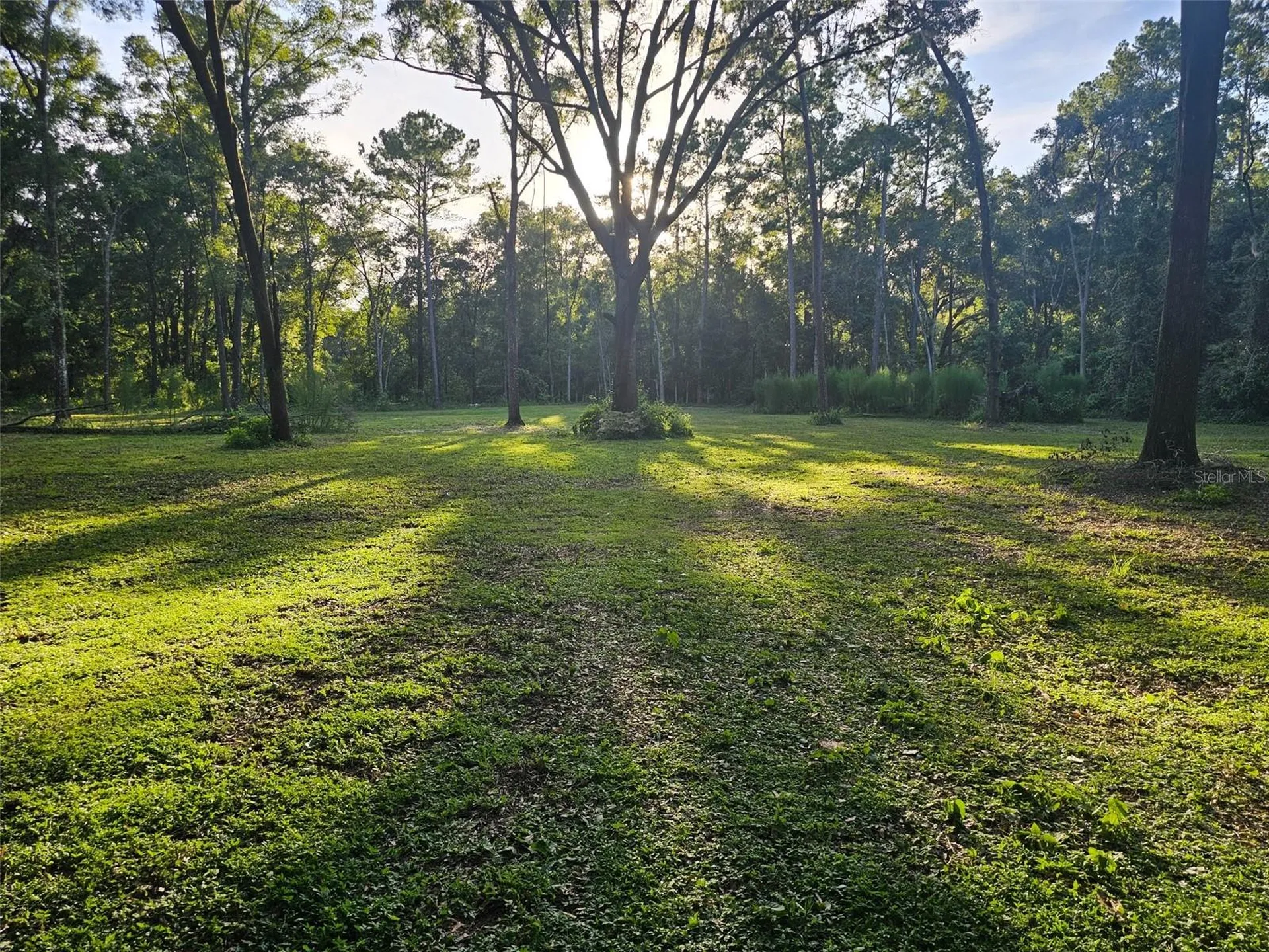 4502 SW 63rd Boulevard Gainesville FL 32608