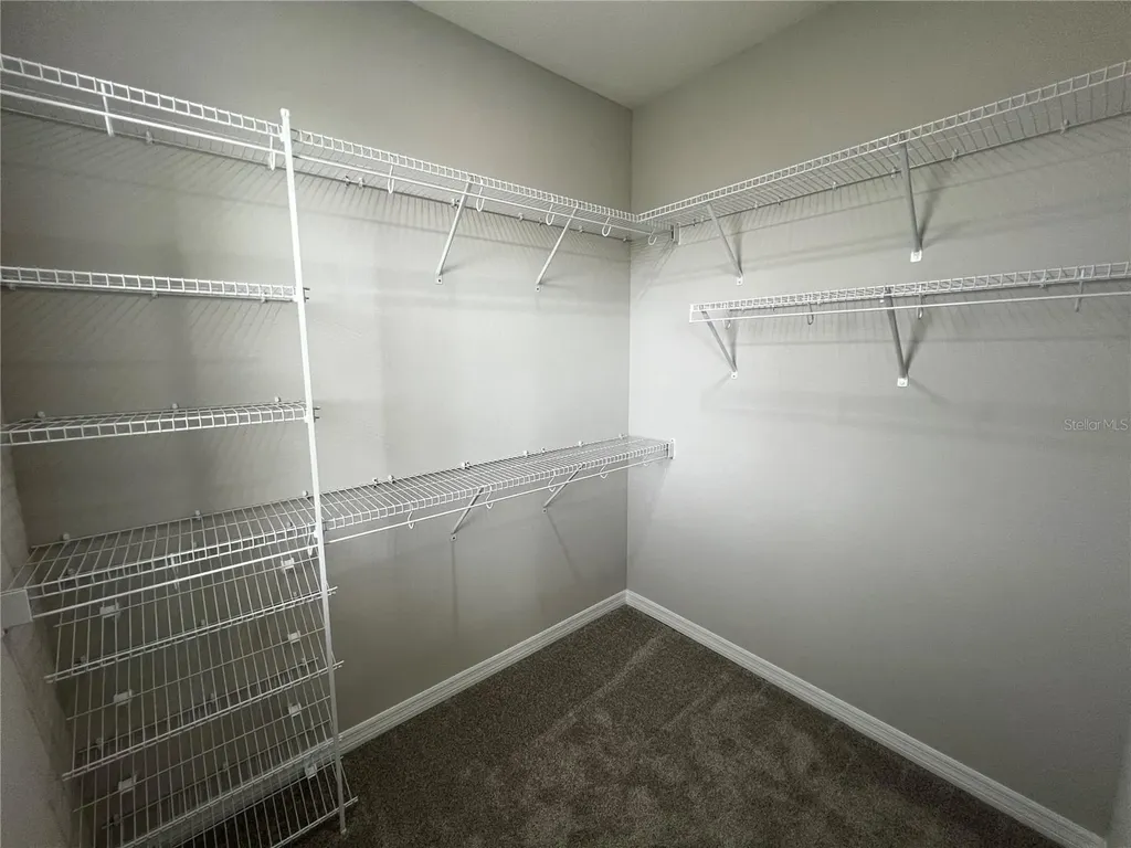 15769 Tollington Alley Winter Garden FL 34787