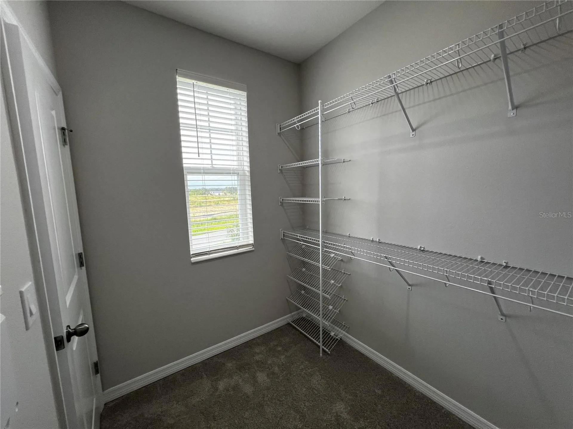 15769 Tollington Alley Winter Garden FL 34787
