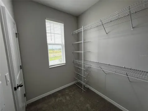 15769 Tollington Alley Winter Garden FL 34787