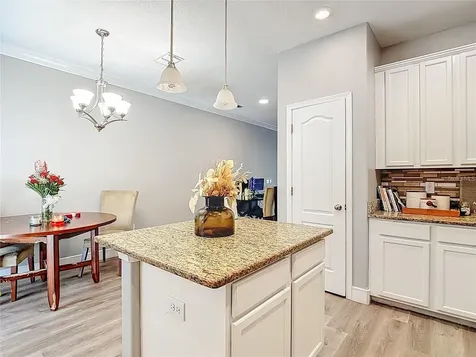 4442 Fennwood Court Wesley Chapel FL 33543
