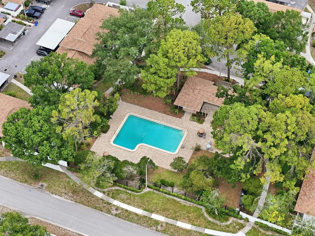 6902 El Centro Court Tampa FL 33634