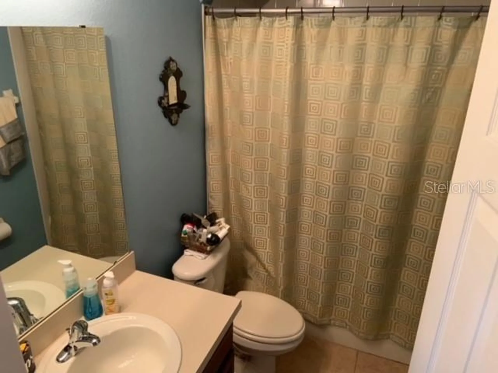 9118 Sabal Pine Way Orlando FL 32832