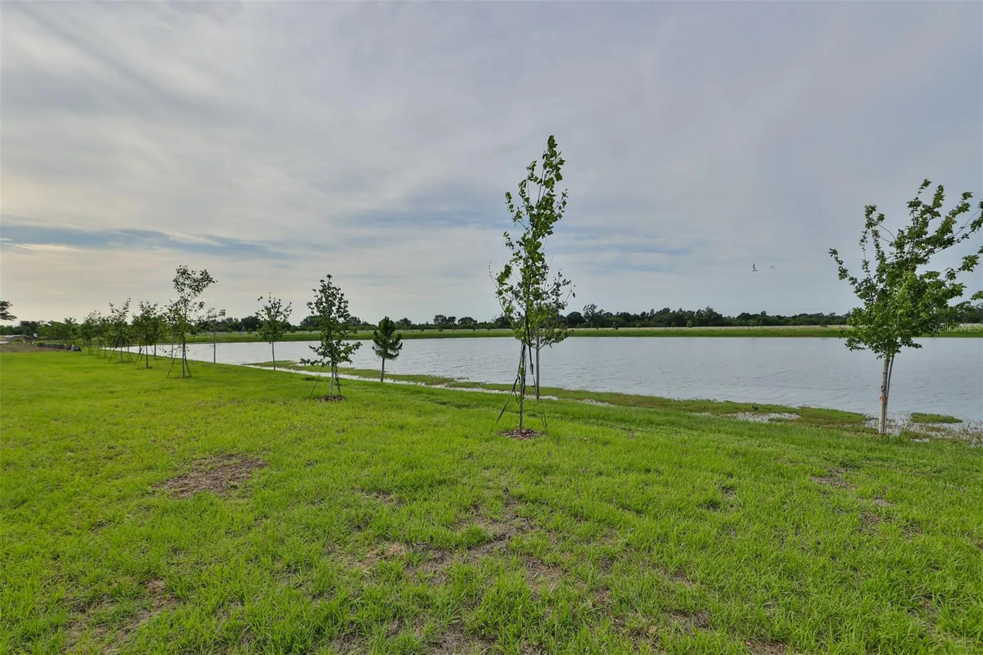233 Mangrove Shade Circle Apollo Beach FL 33572