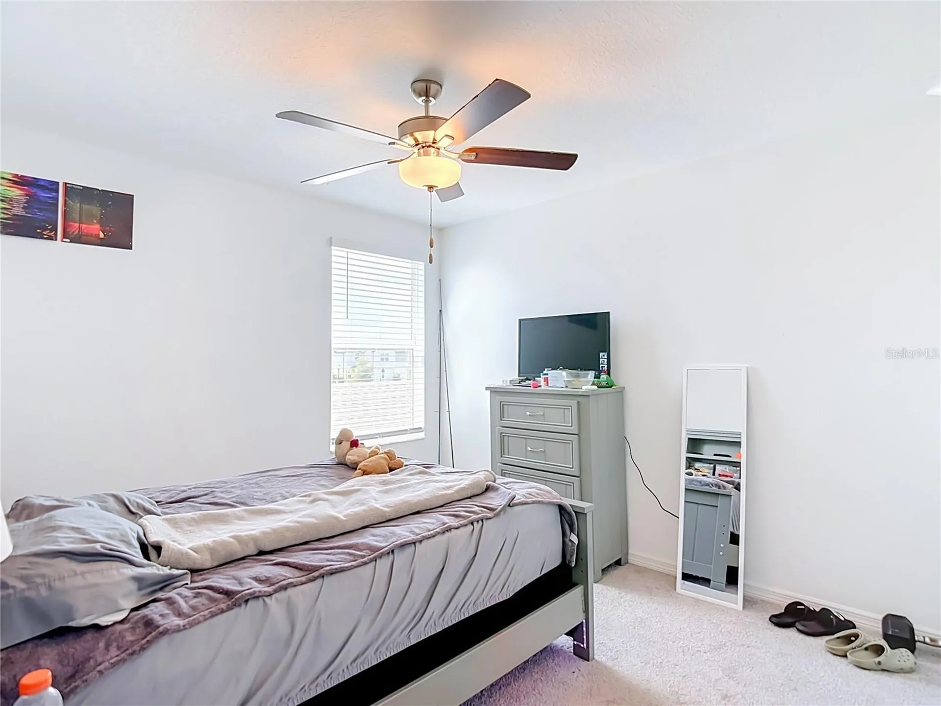35186 Ackley Trace Zephyrhills FL 33541