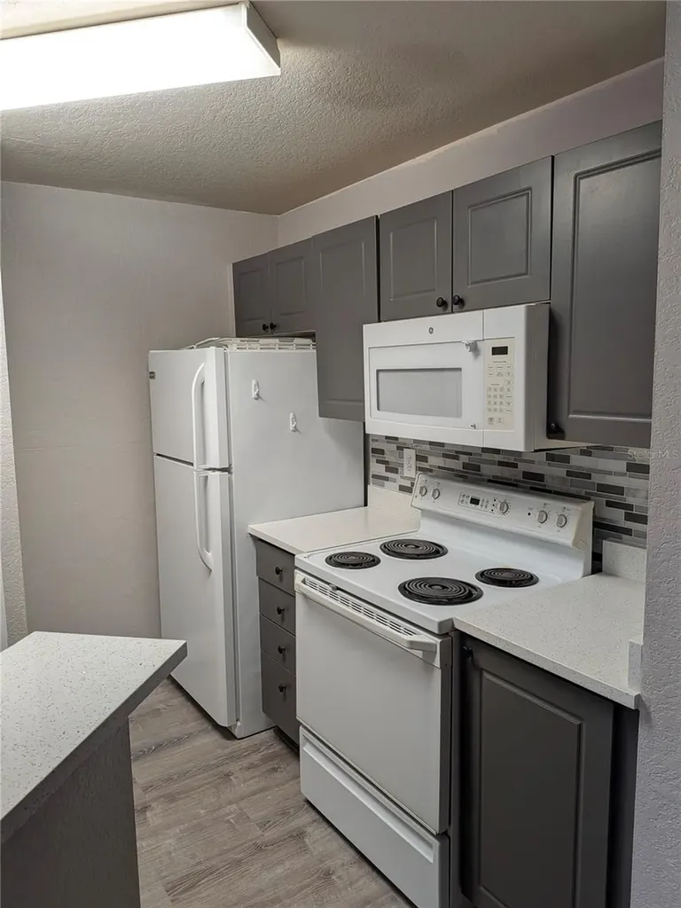 4209 Woodstorks Walk Way Lutz FL 33558