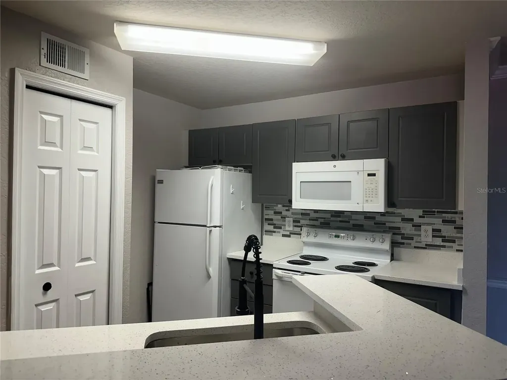 4209 Woodstorks Walk Way Lutz FL 33558