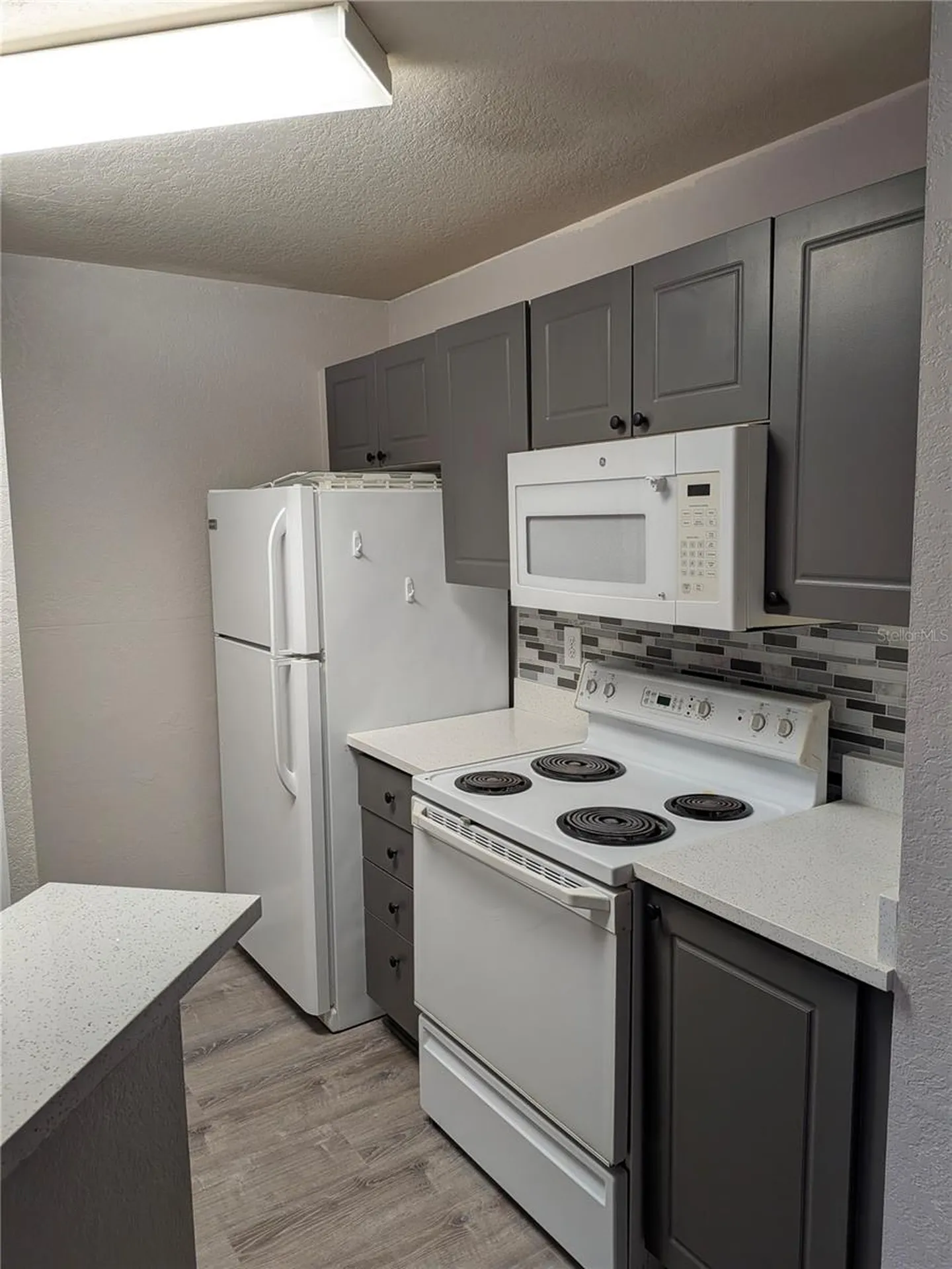 4209 Woodstorks Walk Way Lutz FL 33558