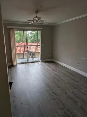 4209 Woodstorks Walk Way Lutz FL 33558