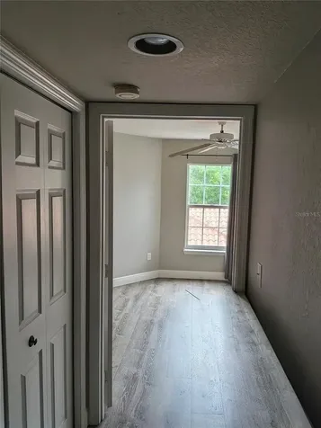 4209 Woodstorks Walk Way Lutz FL 33558
