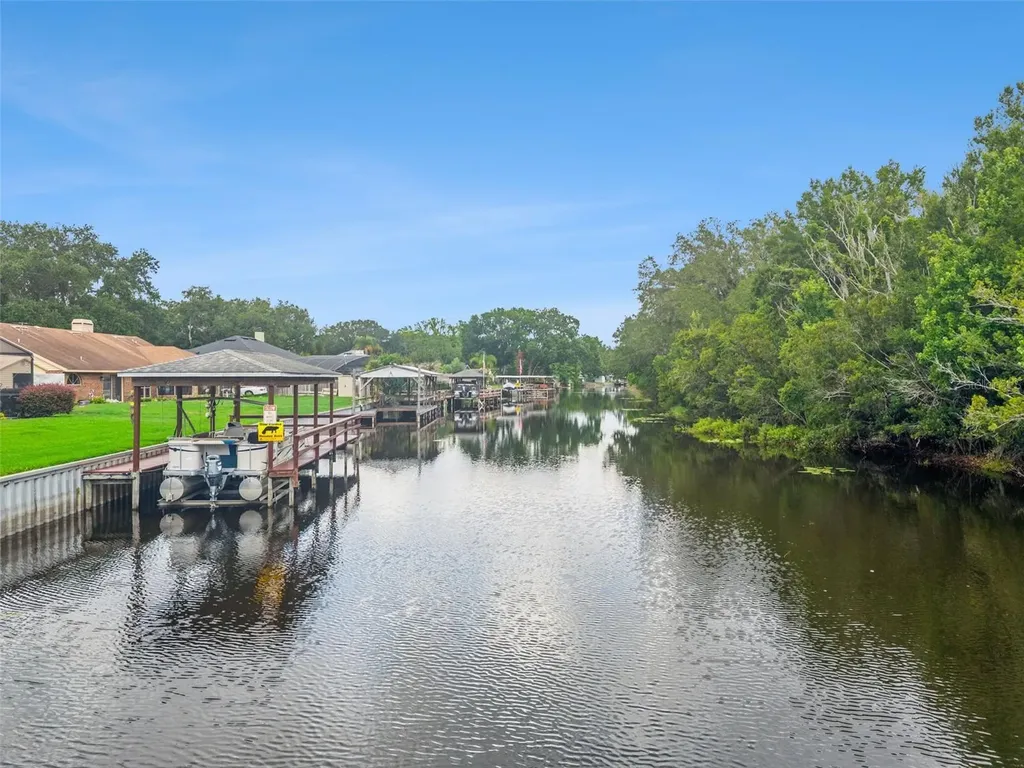 28646 Tammi Drive Tavares FL 32778