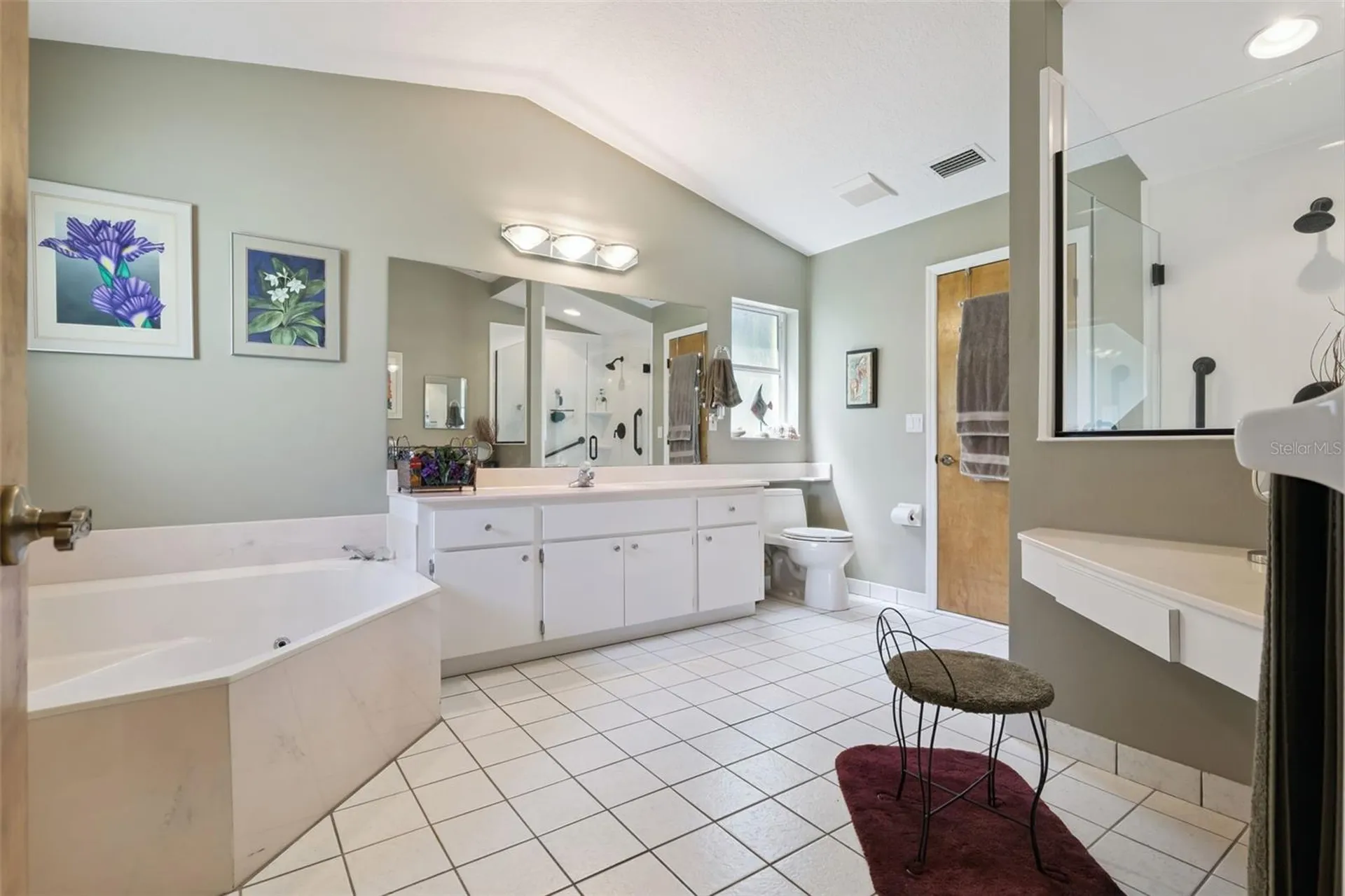 28646 Tammi Drive Tavares FL 32778