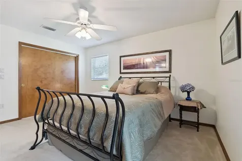 28646 Tammi Drive Tavares FL 32778
