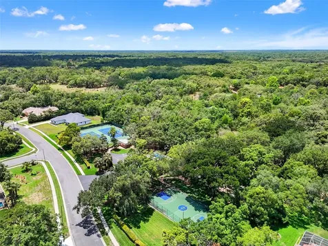 18162 Autumn Lake Boulevard Hudson FL 34667