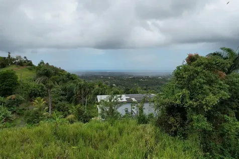 Km 22.1 Pr 186 Rio Grande PR 00745