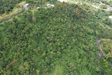 Km 22.1 Pr 186 Rio Grande PR 00745