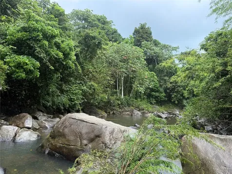 Km 22.1 Pr 186 Rio Grande PR 00745