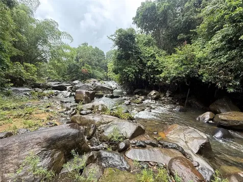 Km 22.1 Pr 186 Rio Grande PR 00745
