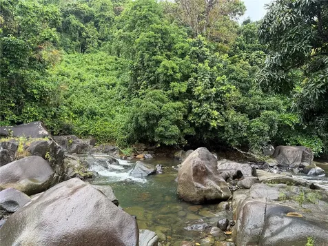 Km 22.1 Pr 186 Rio Grande PR 00745