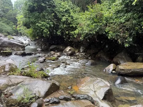 Km 22.1 Pr 186 Rio Grande PR 00745