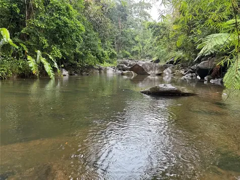 Km 22.1 Pr 186 Rio Grande PR 00745