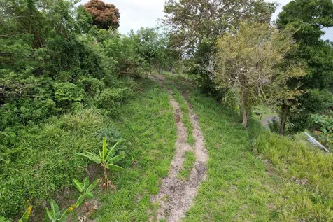 Km 22.1 Pr 186 Rio Grande PR 00745