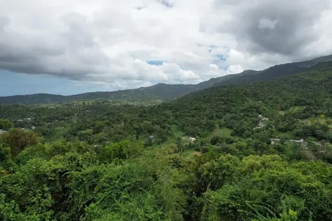 Km 22.1 Pr 186 Rio Grande PR 00745