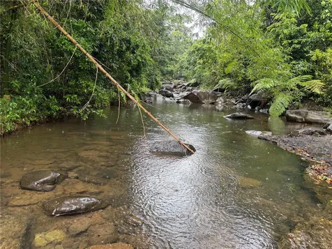 Km 22.1 Pr 186 Rio Grande PR 00745