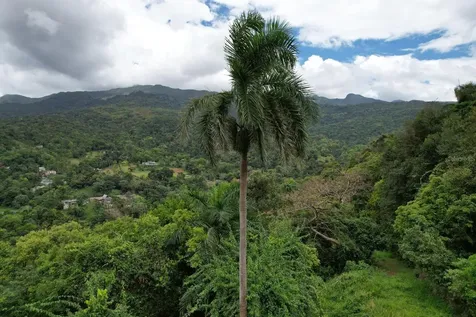 Km 22.1 Pr 186 Rio Grande PR 00745